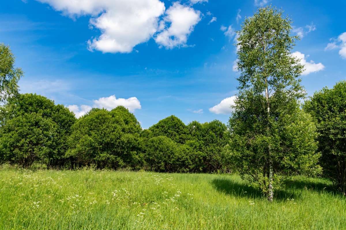 ������� ����� ���������  �� PhotoGeek.ru #������ ��� �������