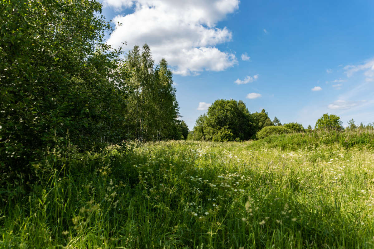 � ��� ����� ���������  �� PhotoGeek.ru #������ ��� �������