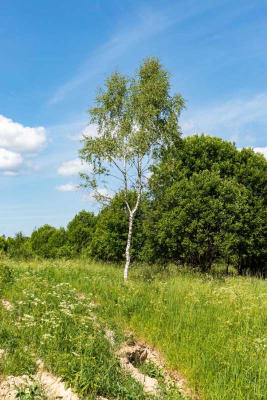 *** ����� ���������  �� PhotoGeek.ru #������ ��� �������