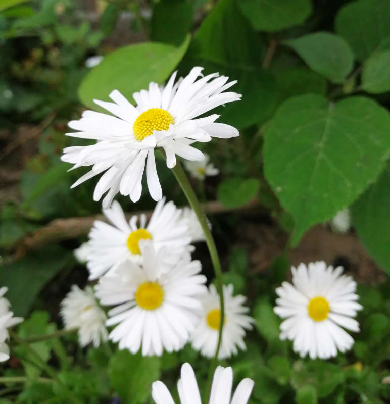 ������� ����� ���������  �� PhotoGeek.ru #������ ��� �������