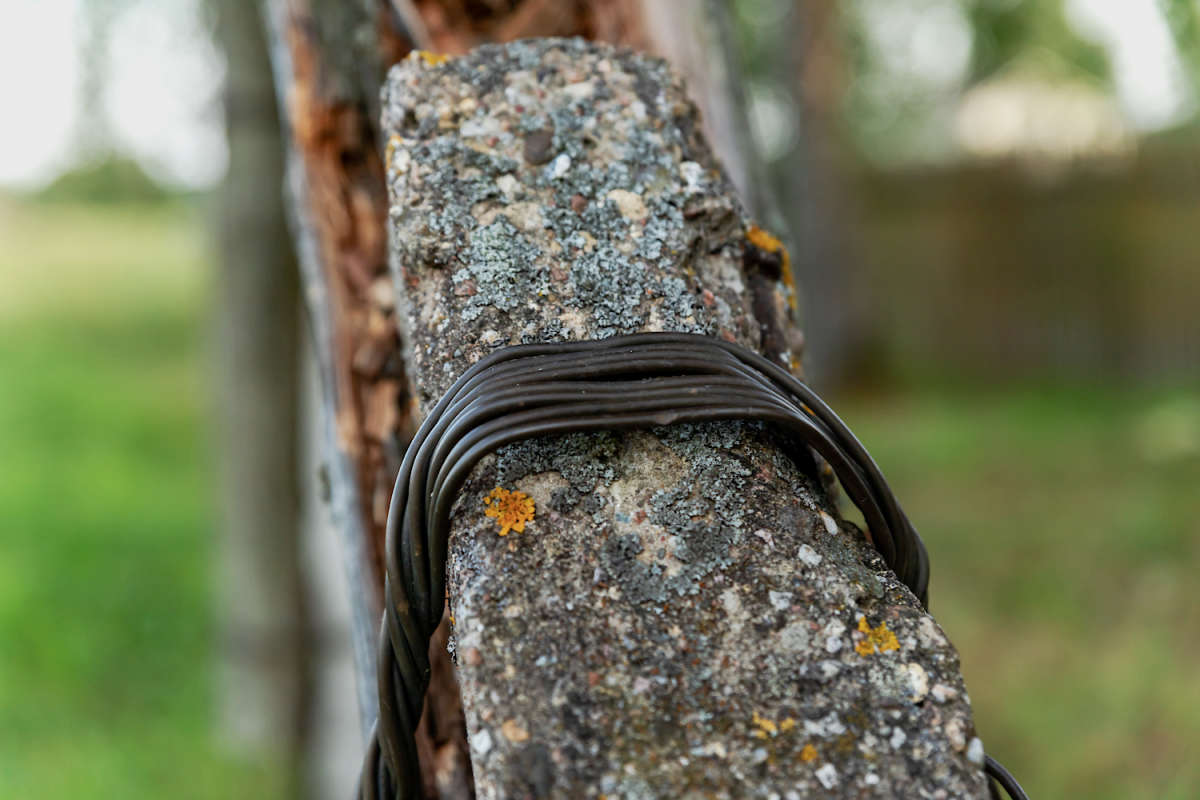 *** ����� ���������  �� PhotoGeek.ru #�������� ����������