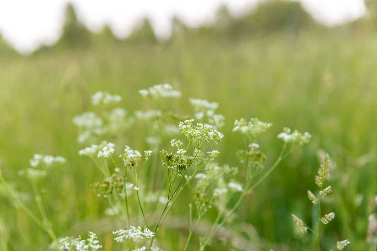 �� ���� ����� ���������  �� PhotoGeek.ru #������ ��� �������