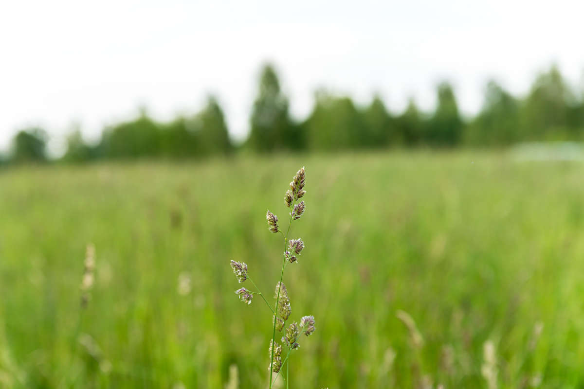 ����� ����� ���������  �� PhotoGeek.ru #������ ��� �������