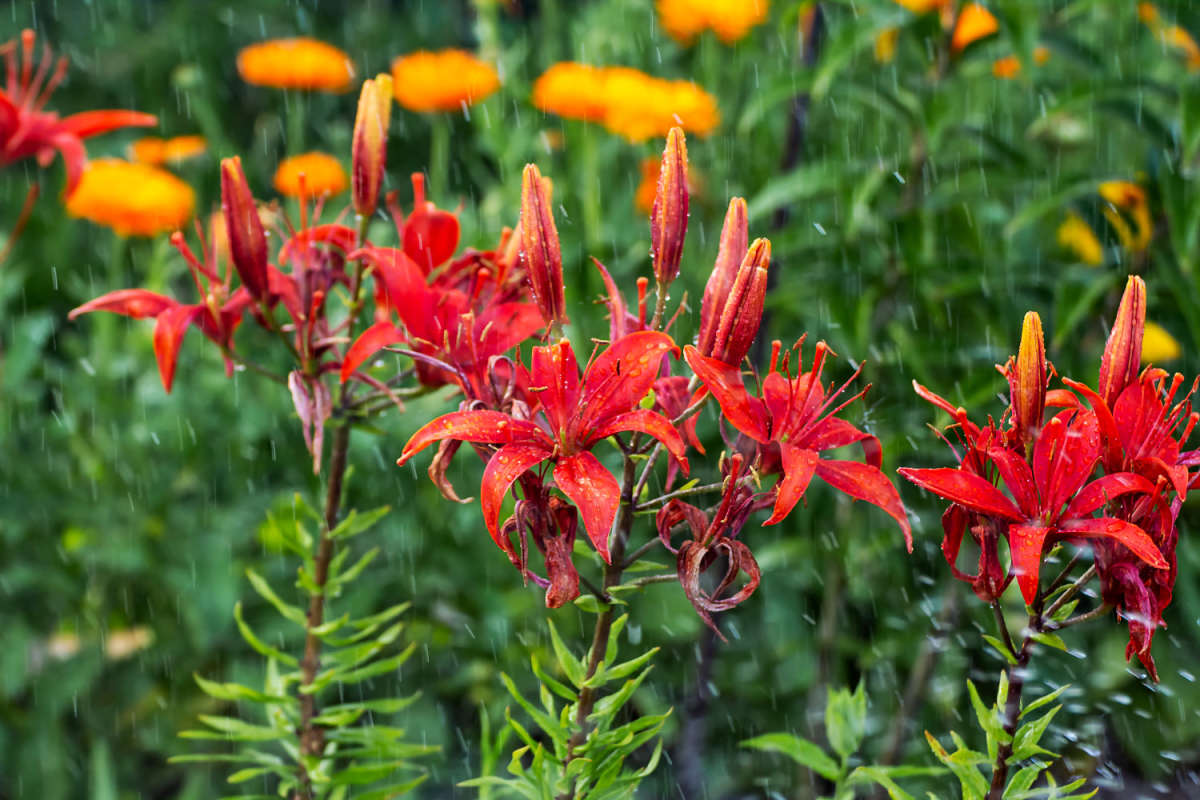 ����� ����� ���������  �� PhotoGeek.ru #������ ��� �������