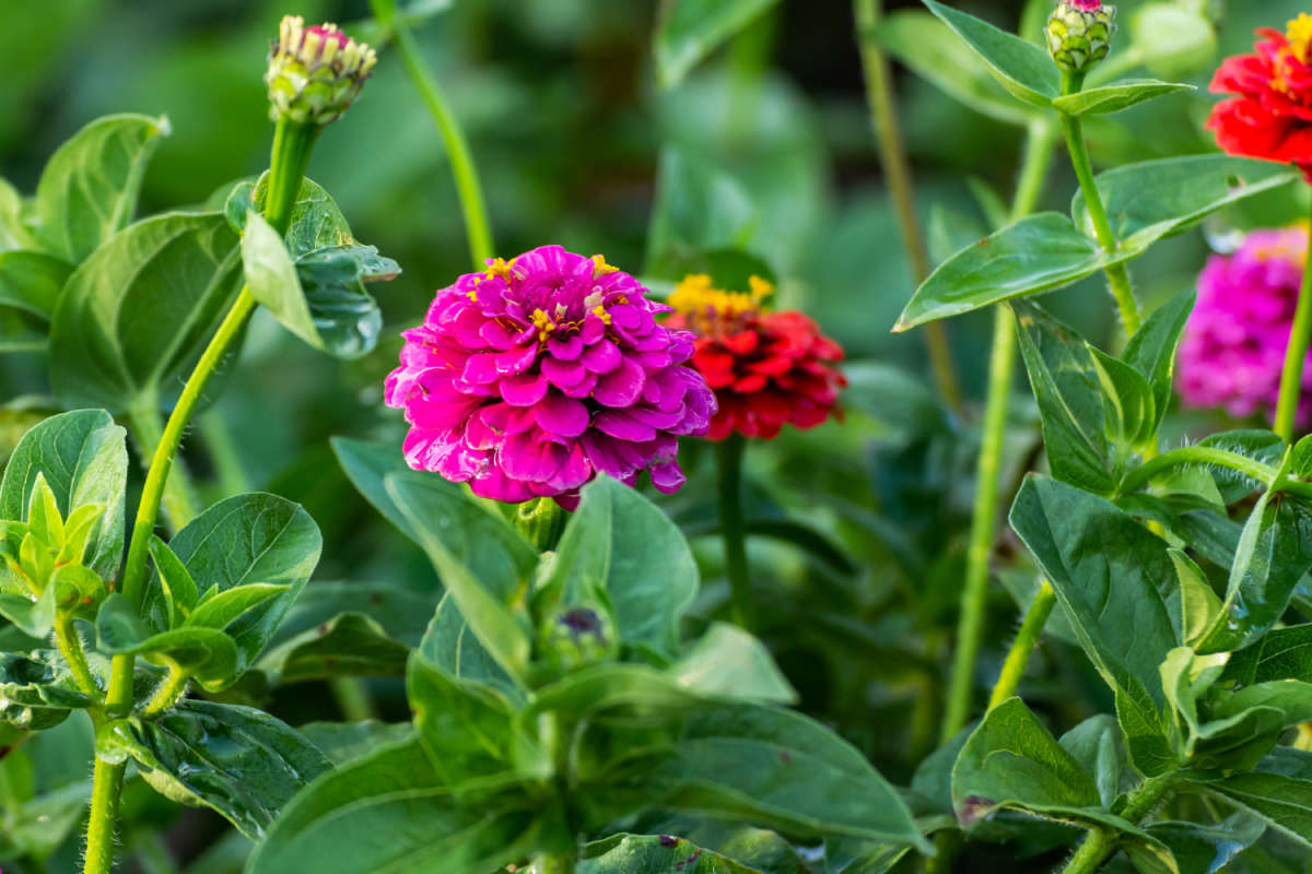 ����� ����� ���������  �� PhotoGeek.ru #������ ��� �������