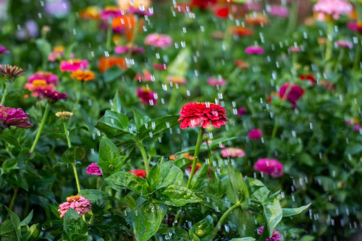 ����� ����� ���������  �� PhotoGeek.ru #������ ��� �������