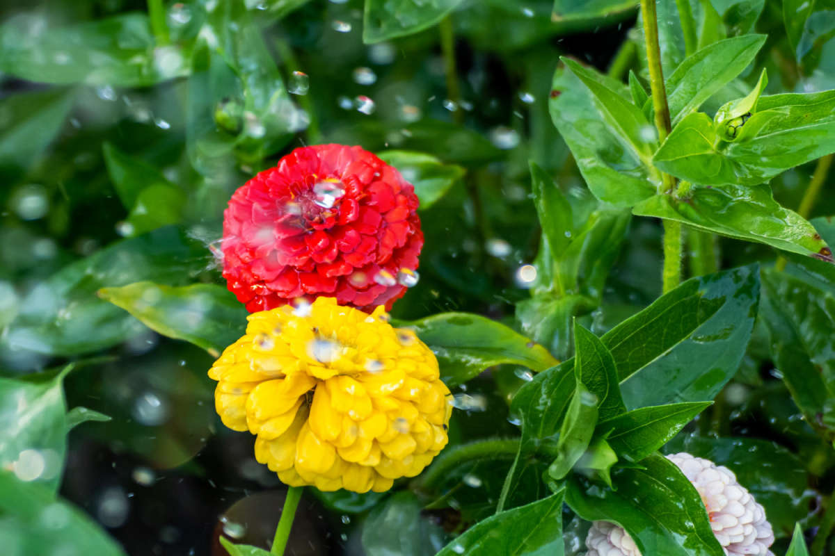 ����� ����� ���������  �� PhotoGeek.ru #������ ��� �������