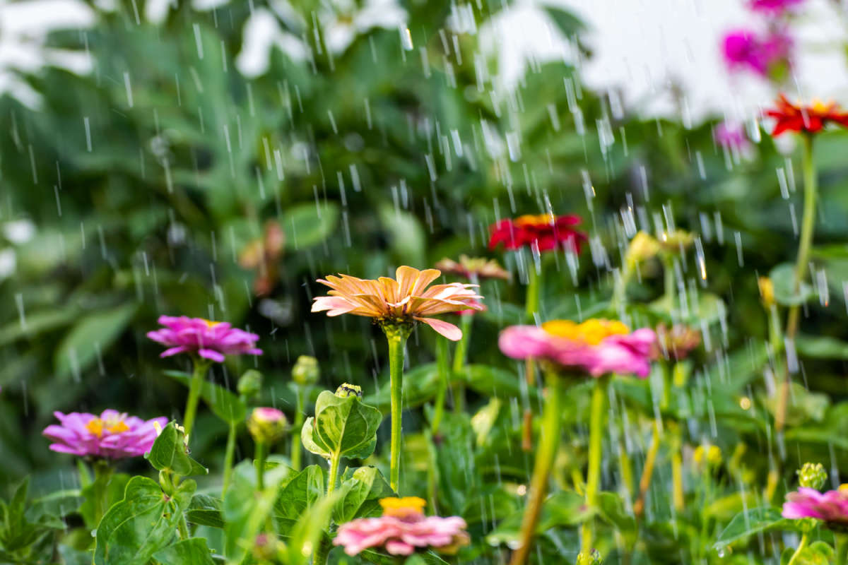 ����� ����� ���������  �� PhotoGeek.ru #������ ��� �������