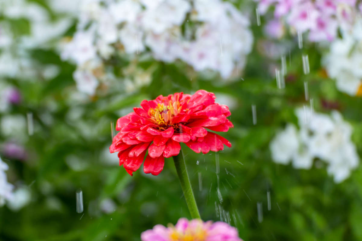 ����� ����� ���������  �� PhotoGeek.ru #������ ��� �������