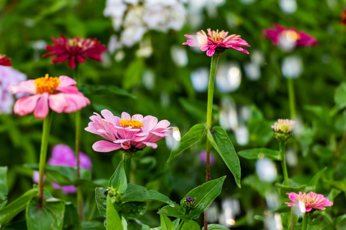 ����� ����� ���������  �� PhotoGeek.ru #������ ��� �������