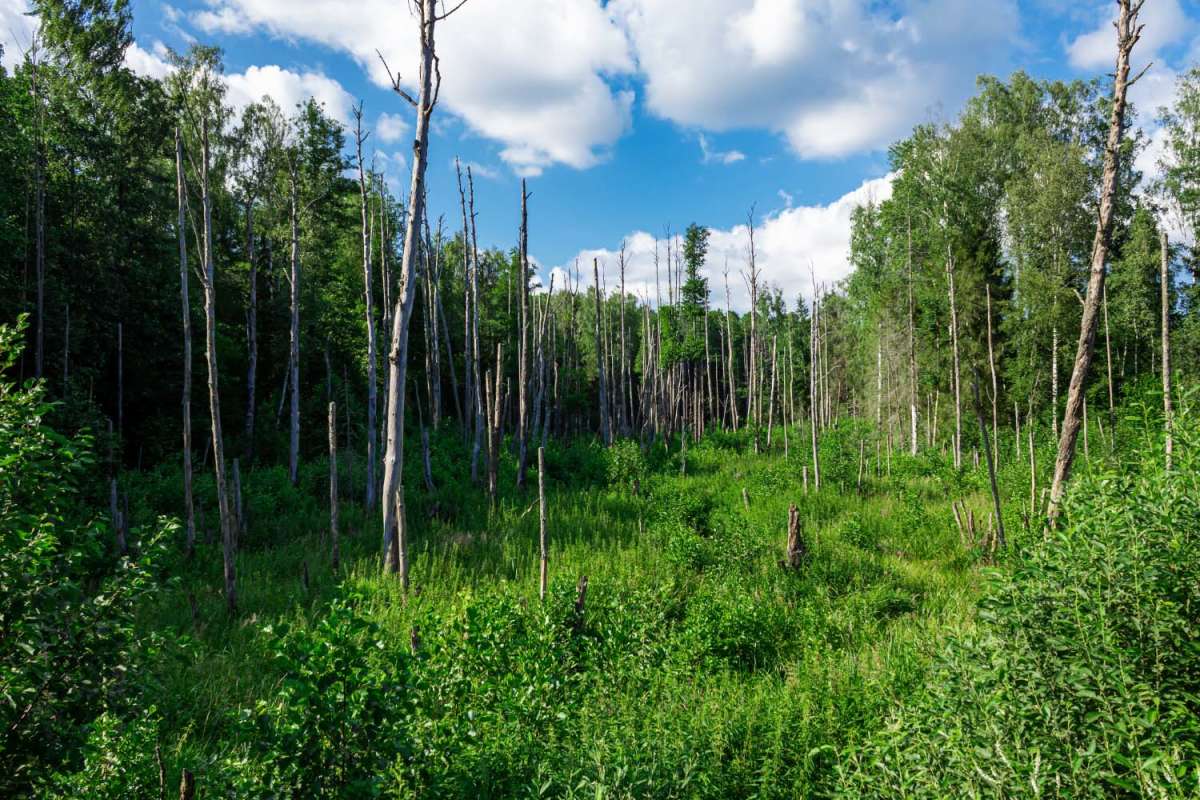 *** ����� ���������  �� PhotoGeek.ru #������ ��� �������