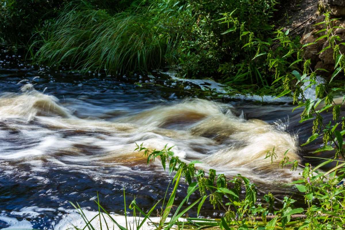 ������� ����� ���������  �� PhotoGeek.ru #������ ��� �������