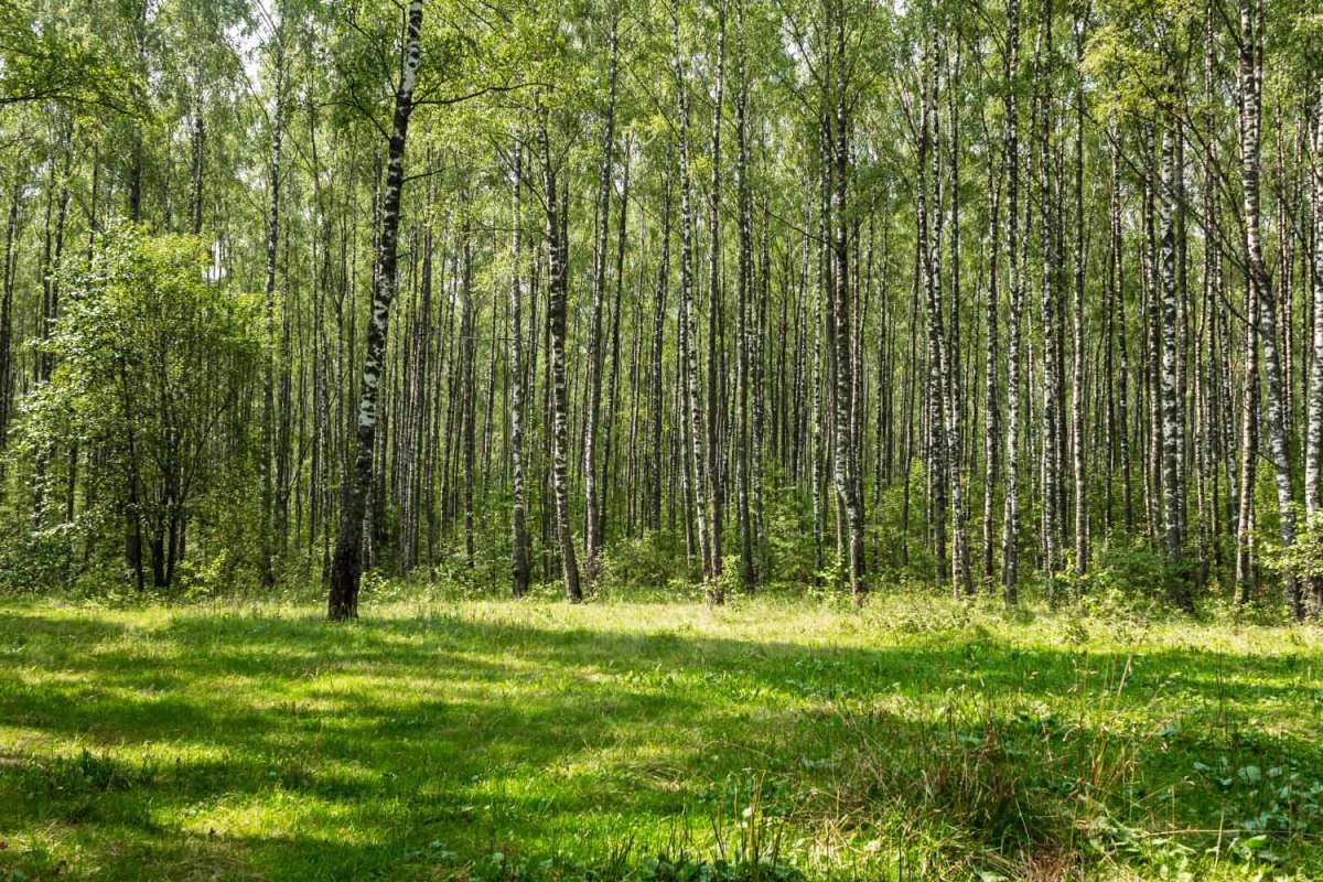 ���� ����� ���������  �� PhotoGeek.ru #������ ��� �������