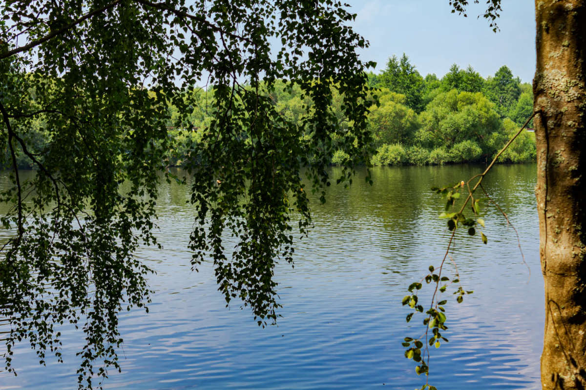 ��������� ����� ���������  �� PhotoGeek.ru #������ ��� �������