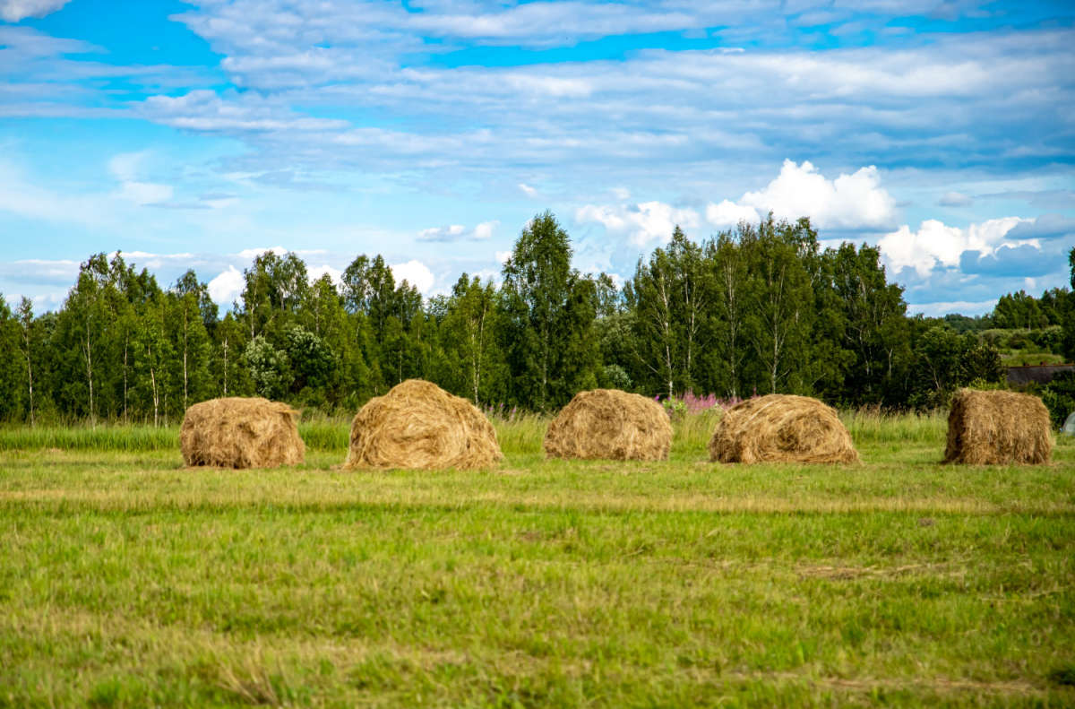 ��������� ����� ���������  �� PhotoGeek.ru #������ ��� �������