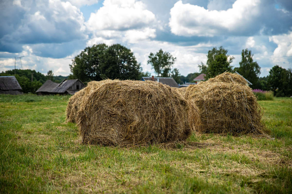 ���� ����� ���������  �� PhotoGeek.ru #������ ��� �������