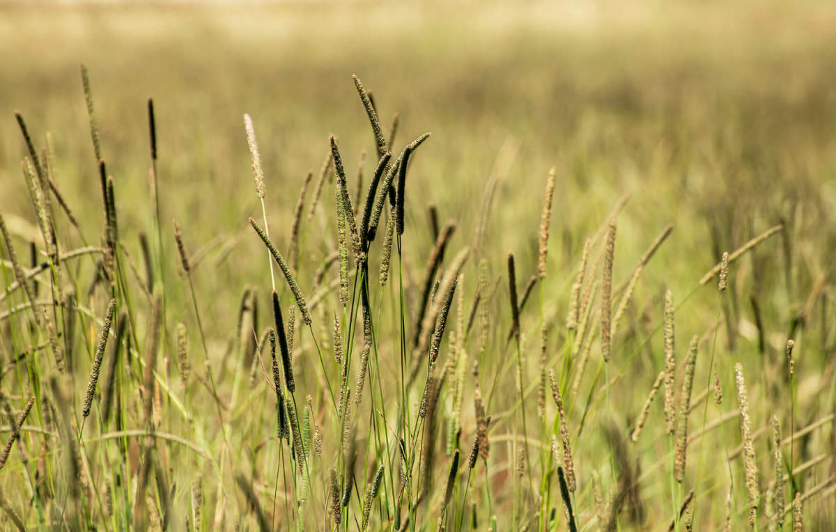 ����� ����� ���������  �� PhotoGeek.ru #������ ��� �������