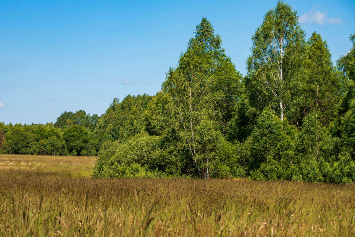 �� ���� ���� ����� ���������  �� PhotoGeek.ru #������ ��� �������