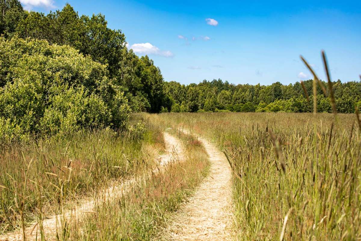 ����� ����� ����� ���������  �� PhotoGeek.ru #������ ��� �������