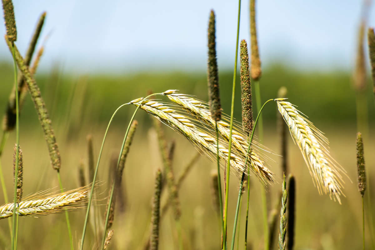 ������� ����� ���������  �� PhotoGeek.ru #������ ��� �������