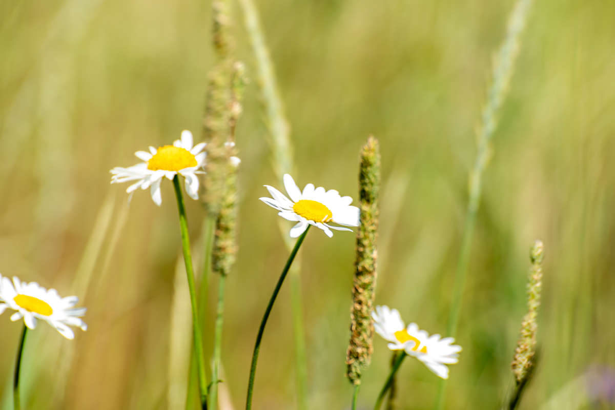 ������� ����� ���������  �� PhotoGeek.ru #������ ��� �������