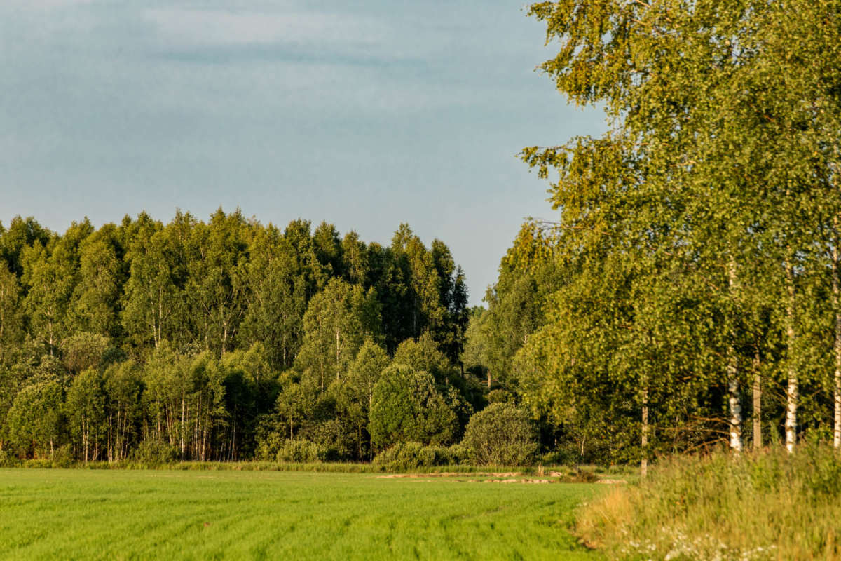 �� ���� ���� ����� ���������  �� PhotoGeek.ru #������ ��� �������