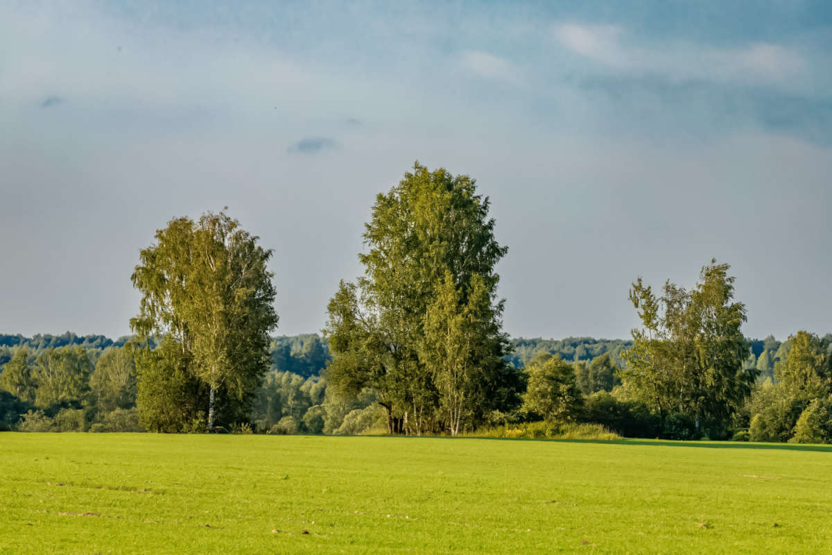 ���� ����� ���������  �� PhotoGeek.ru #������ ��� �������