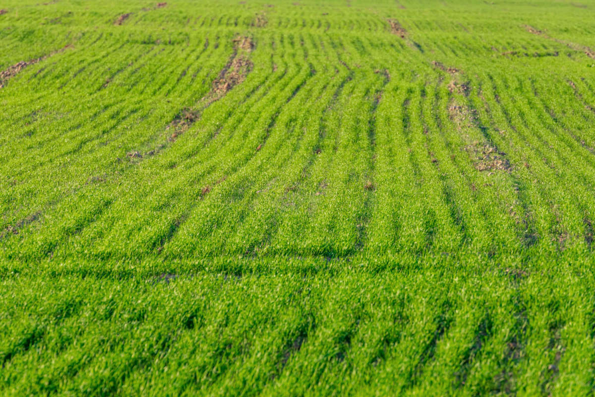 �������� ���� ����� ���������  �� PhotoGeek.ru #������ ��� �������