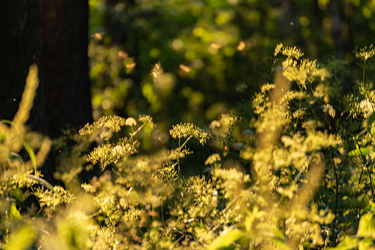 ������� ����� ���������  �� PhotoGeek.ru #������ ��� �������