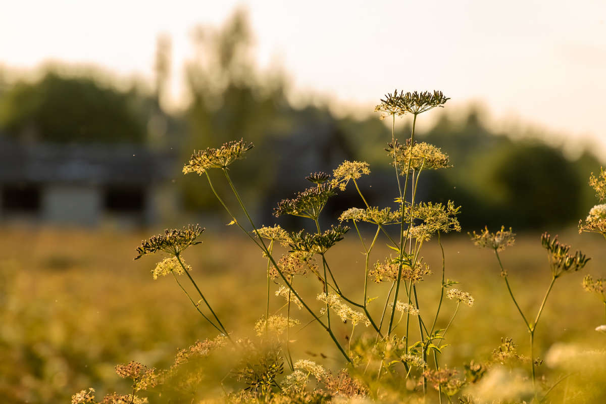 �� ������ ����� ���������  �� PhotoGeek.ru #������ ��� �������