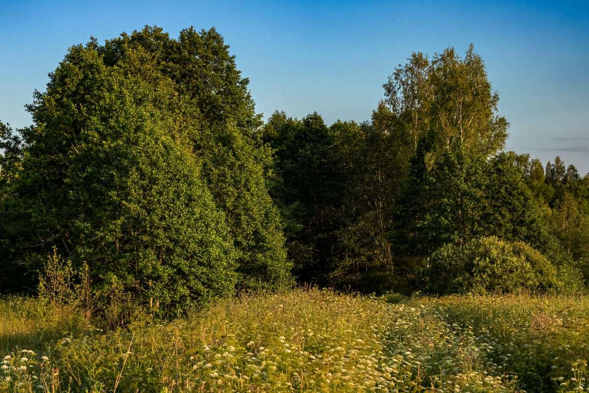 *** ����� ���������  �� PhotoGeek.ru #������ ��� �������