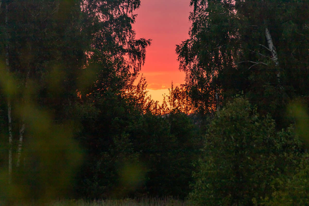 ��� ����� ���������  �� PhotoGeek.ru #������ ��� �������