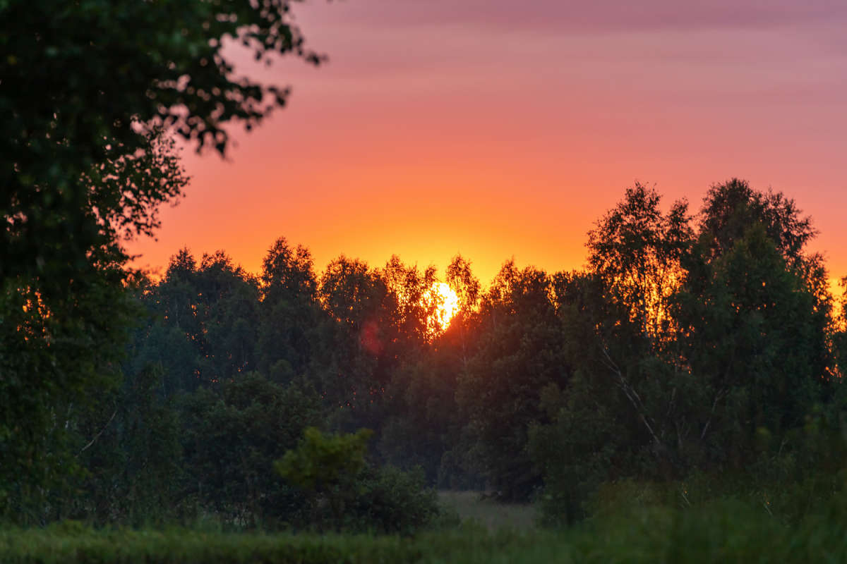 ��� � �������� ����� ���������  �� PhotoGeek.ru #������ ��� �������