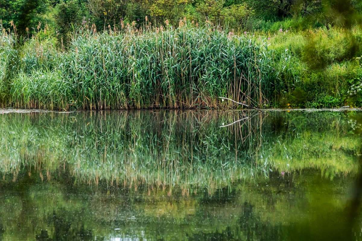 �� �. ������� ����� ���������  �� PhotoGeek.ru #������ ��� �������