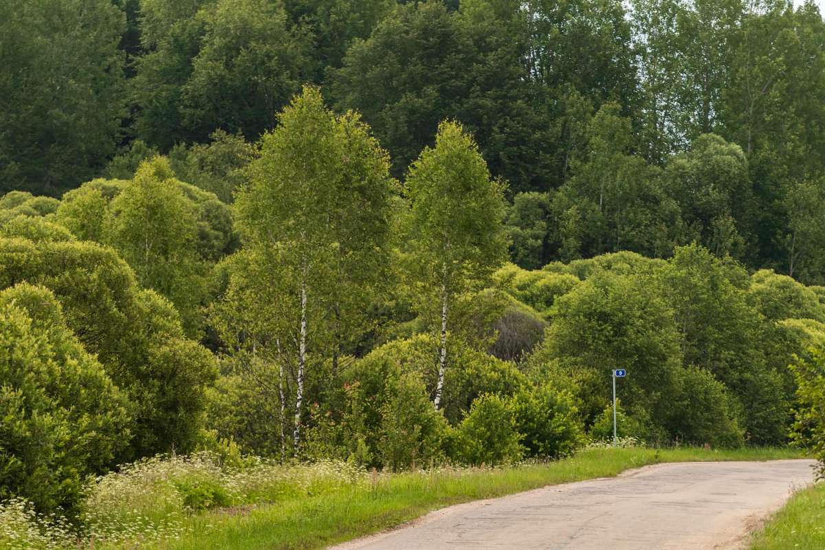 9 �������� ����� ���������  �� PhotoGeek.ru #������ ��� �������