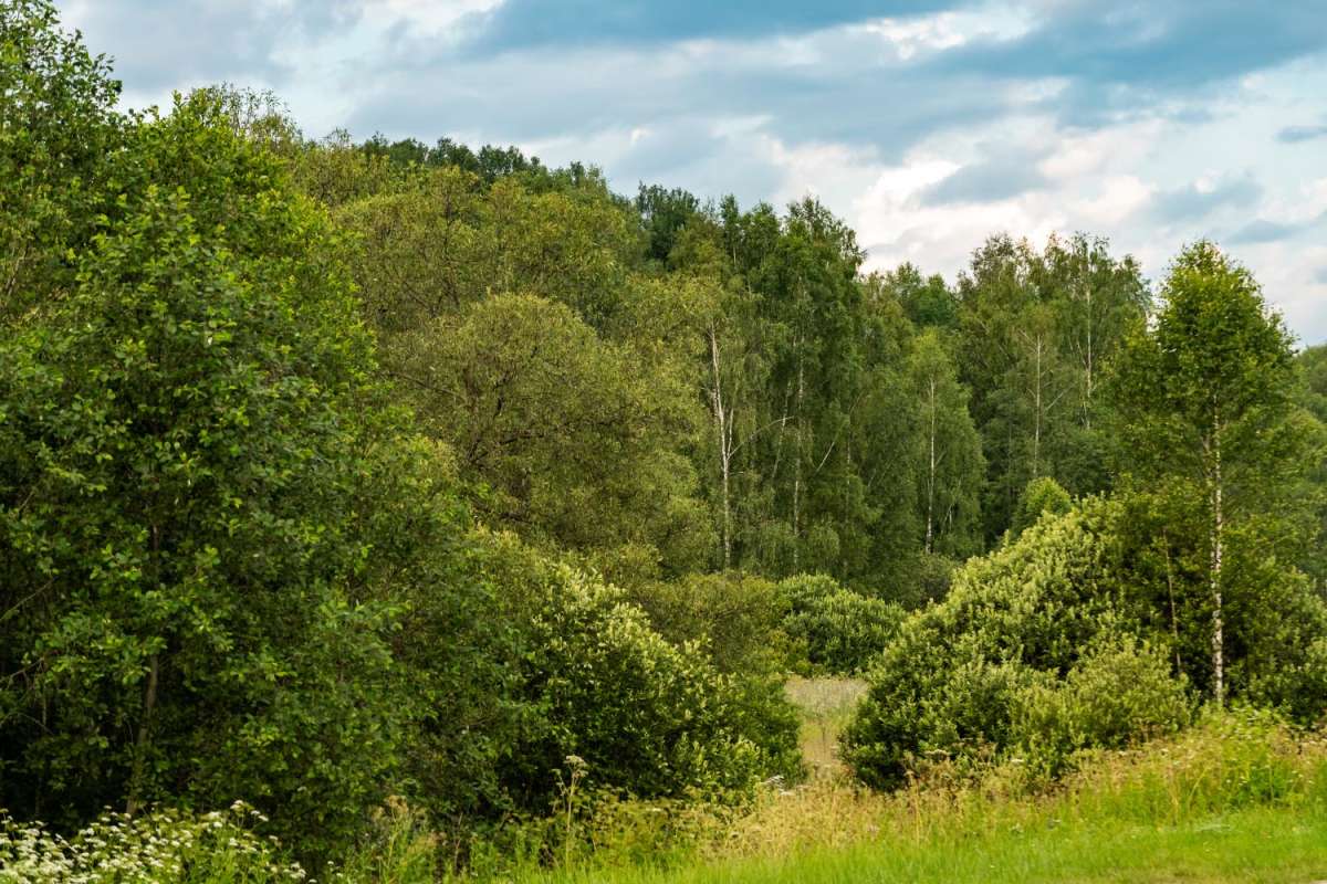 ���������� ���� ����� ���������  �� PhotoGeek.ru #������ ��� �������