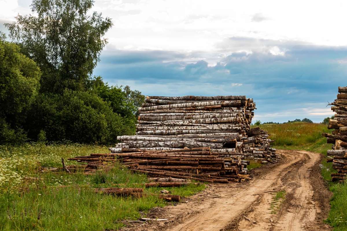 ��������� ����� ���������  �� PhotoGeek.ru #������ ��� �������