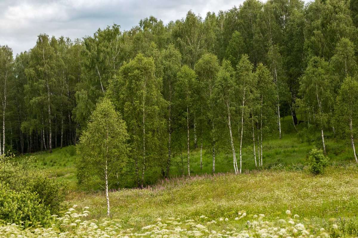 �� ����� ����� ���������  �� PhotoGeek.ru #������ ��� �������