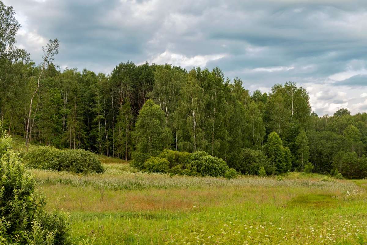 ������� ������ ����� ���������  �� PhotoGeek.ru #������ ��� �������