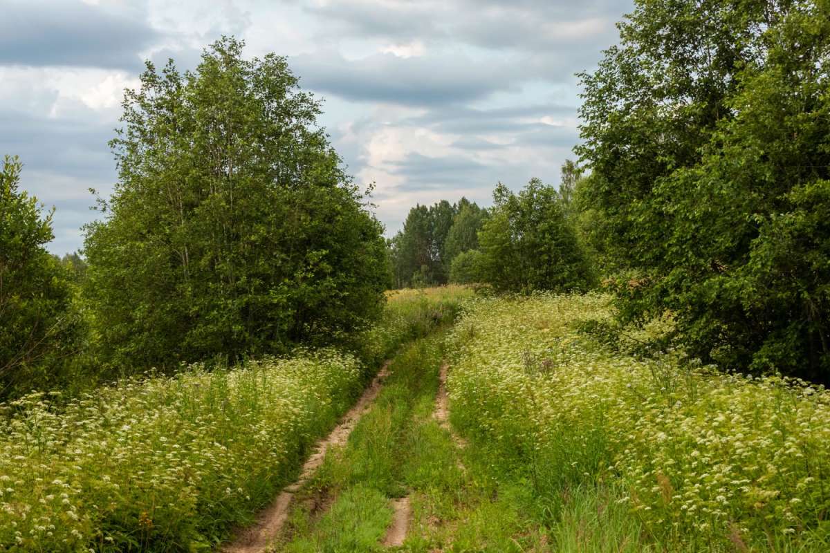 ������ ����� ���������  �� PhotoGeek.ru #������ ��� �������