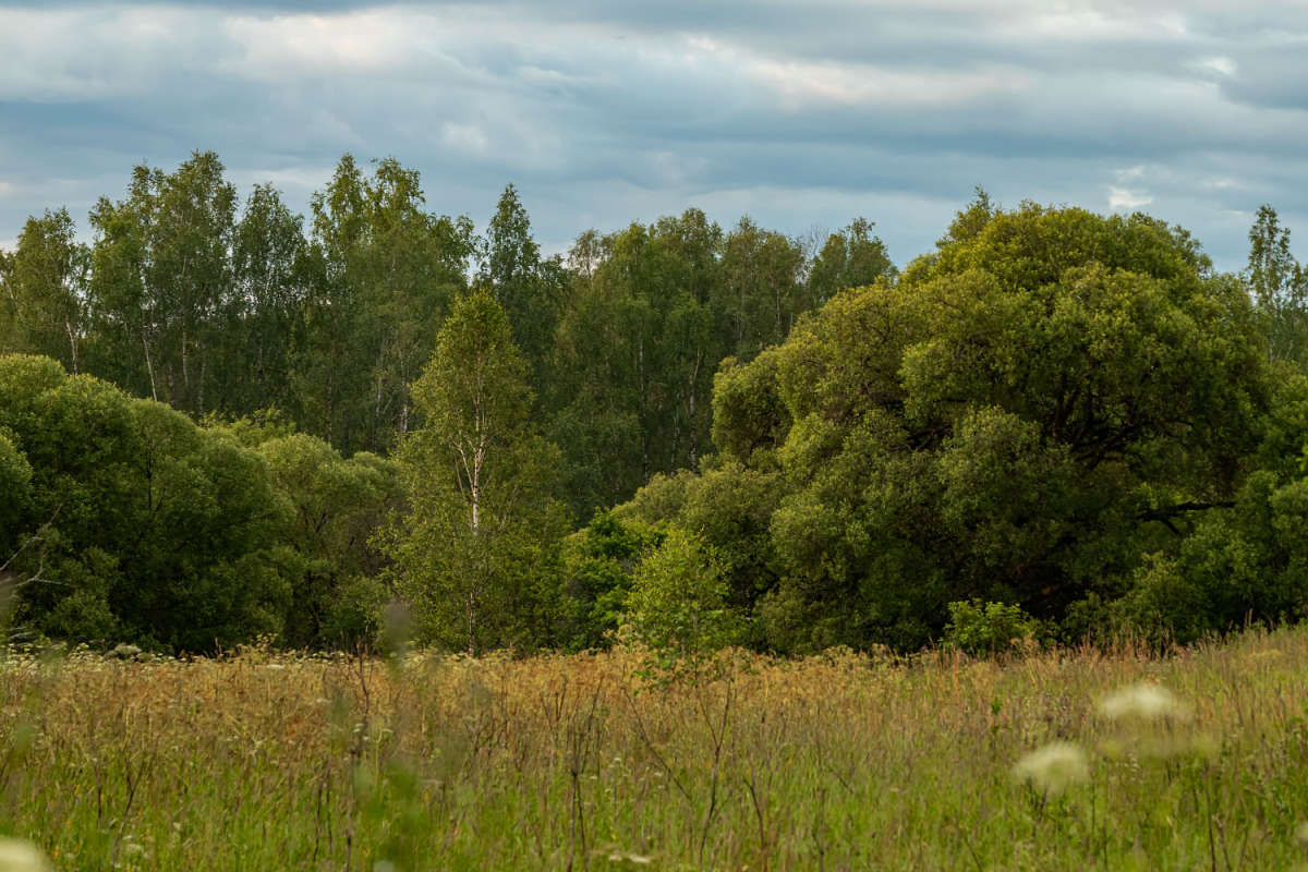 ������� ����� ���������  �� PhotoGeek.ru #������ ��� �������