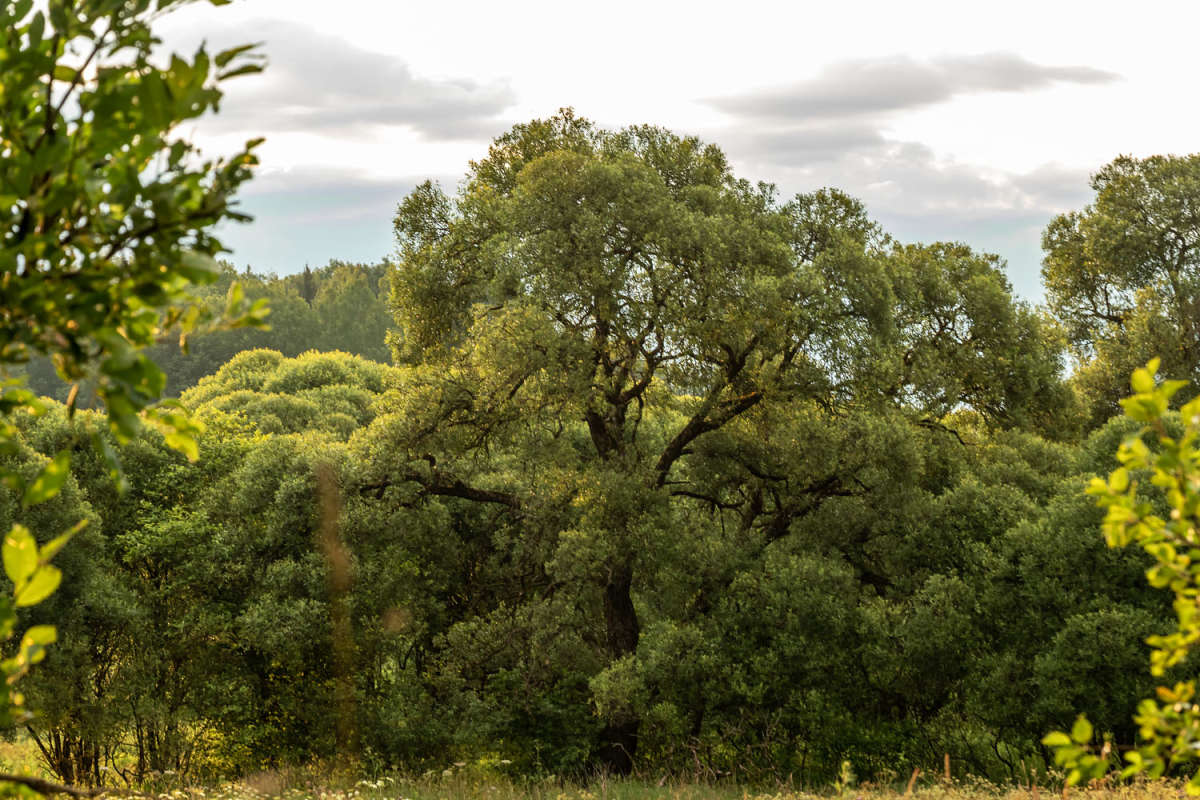 ������ ����� ���������  �� PhotoGeek.ru #������ ��� �������