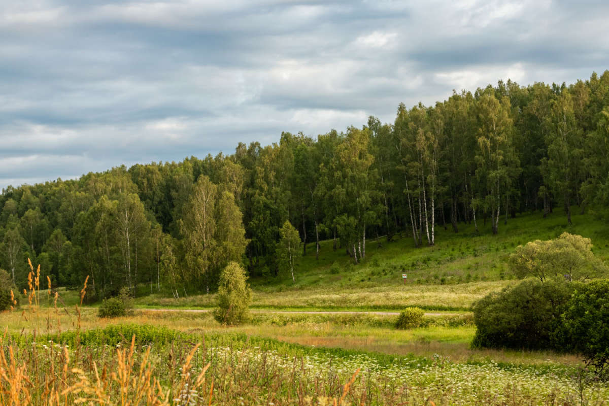 ������� ����� ���������  �� PhotoGeek.ru #������ ��� �������