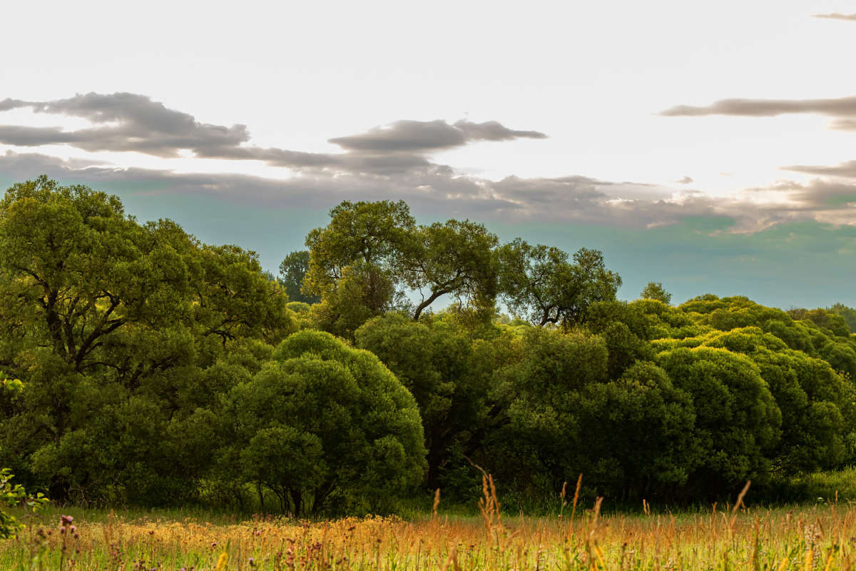 ������ ����� ����� ���������  �� PhotoGeek.ru #������ ��� �������