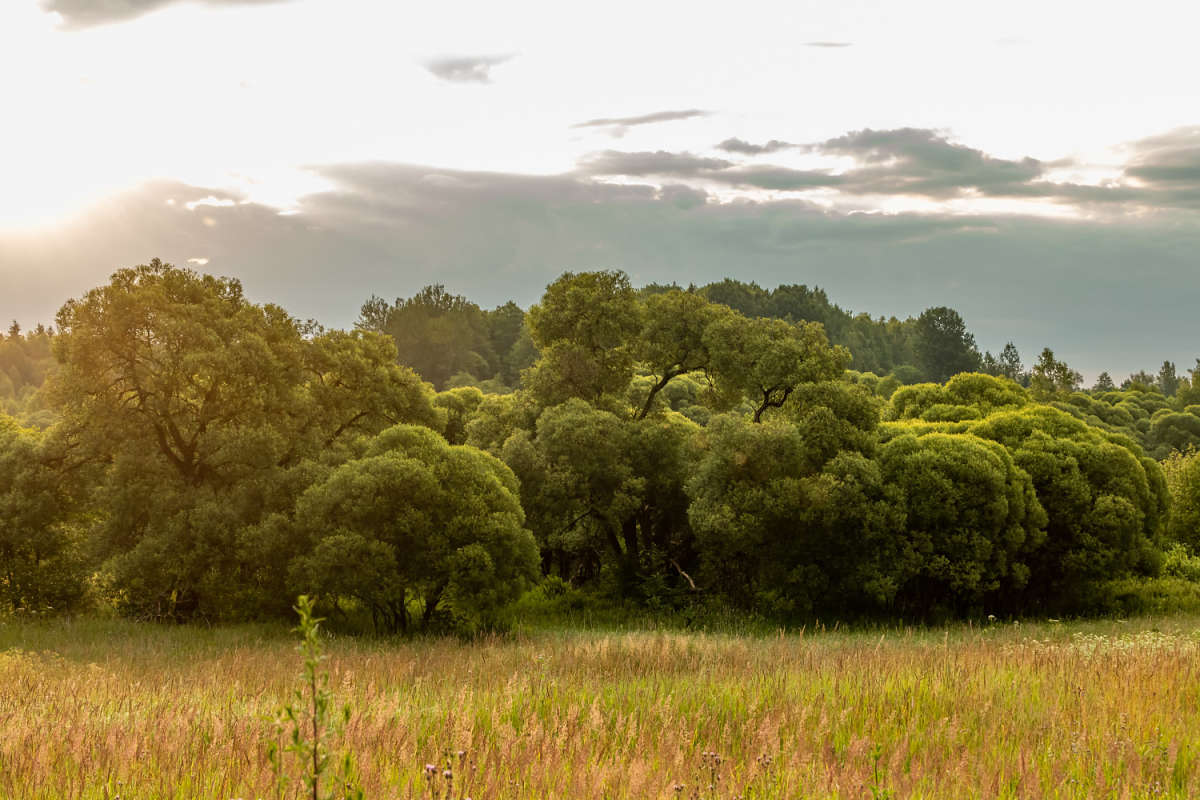 ��� ������� ����� ���������  �� PhotoGeek.ru #������ ��� �������