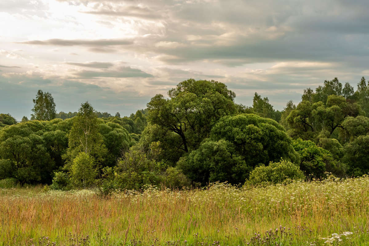 ���������� ������� ����� ���������  �� PhotoGeek.ru #������ ��� �������
