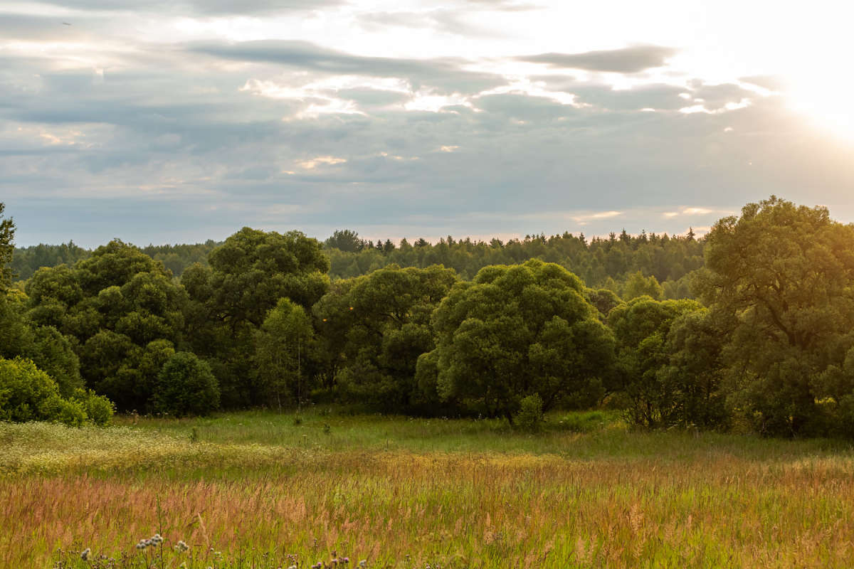 ������ ����� ���������  �� PhotoGeek.ru #������ ��� �������