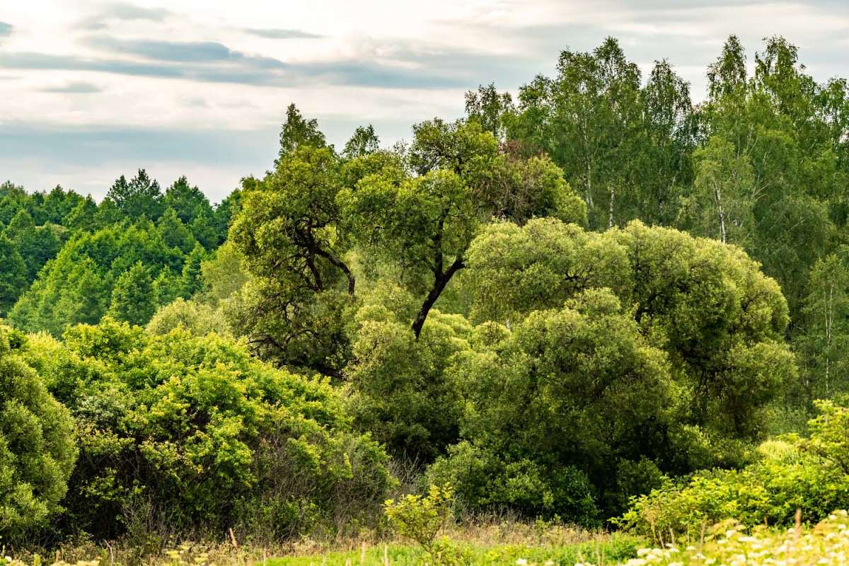 ������� ����� ���������  �� PhotoGeek.ru #������ ��� �������