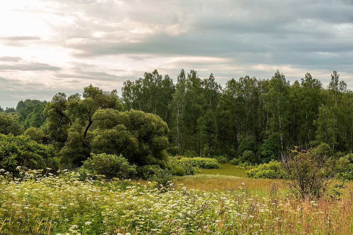 � ��� ����� ���������  �� PhotoGeek.ru #������ ��� �������