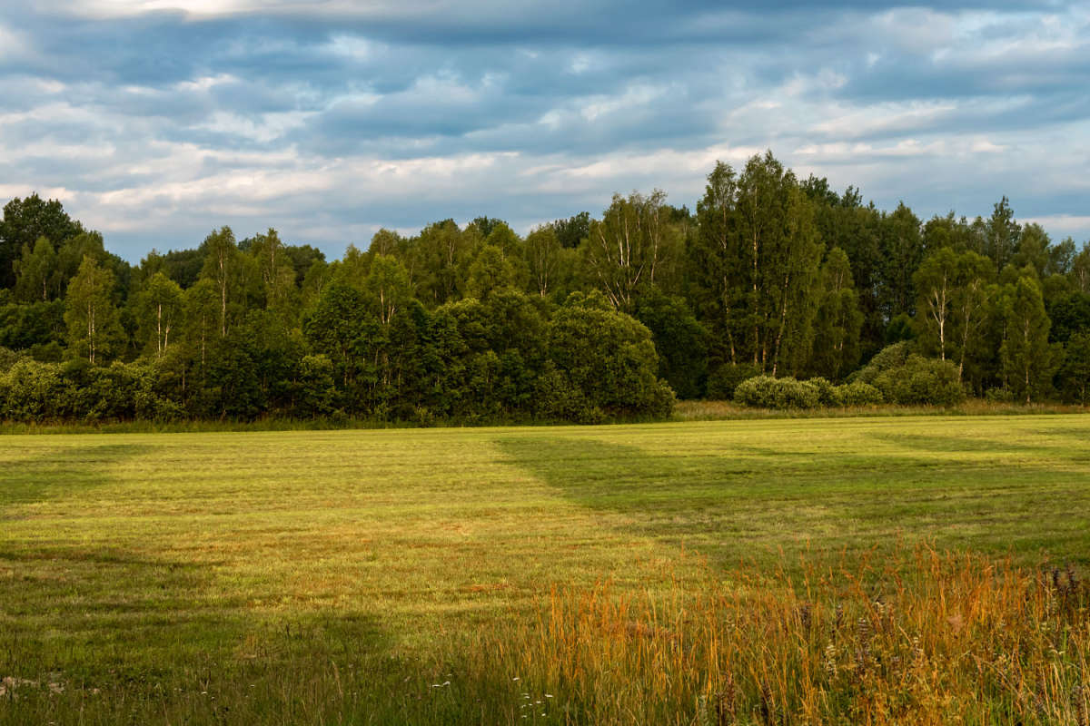 ���� ����� ���������  �� PhotoGeek.ru #������ ��� �������